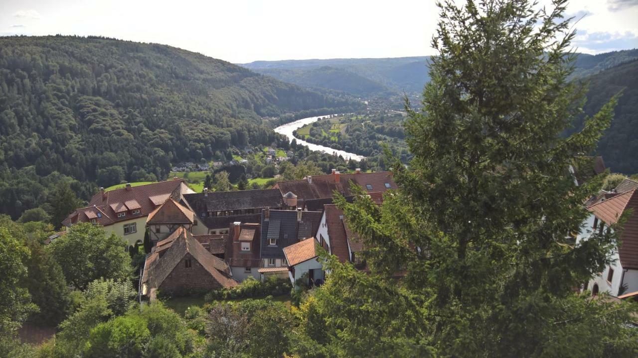 Historisches Ferienhaus Veste Dilsberg Neckargemünd エクステリア 写真