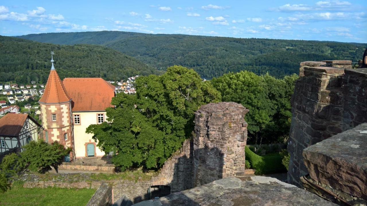 Historisches Ferienhaus Veste Dilsberg Neckargemünd エクステリア 写真